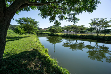 Lake and forest