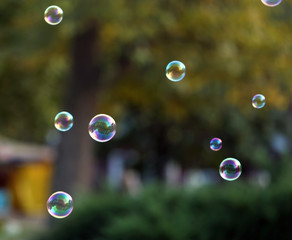 Soap bubbles outdoor