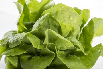 Green vagetable white background