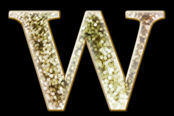 FONT or LETTER and colourful design of wonderful bokeh style ALPHABET W in gradient overlay bright and glow tone