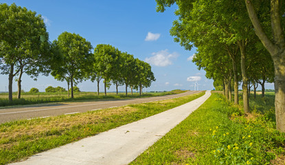 Countryroad through a rural landscape in spring