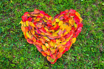 We love Autumn! A heart composited from fallen colorful Autumn leaves.