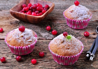 homemade muffins with fresh and dried cranberries