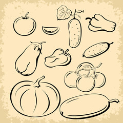 Vegetables Pictograms Set