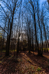 Obraz premium Herbst