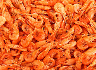Shrimps close-up as background