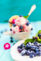 Ice cream with blueberries, dessert