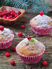 homemade muffins with fresh and dried cranberries