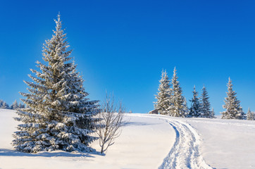 Fairytale winter landscape with snow-covered trees