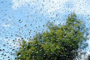 Regentropfen auf Fensterscheibe im Sommer  Durchsicht auf Laubbaum und blauen Himmel