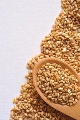 ゴマと木のスプーン　白背景