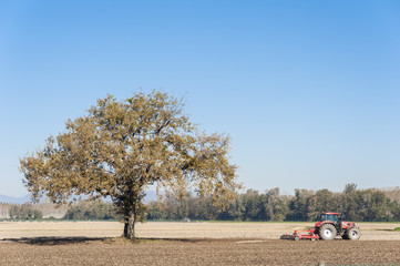 Farm work, harrowing of a field.
