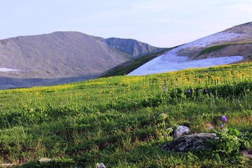 Кузнецкий Алатау. Участок тундры на Караташском перевале