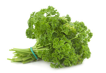 Curly parsley on white