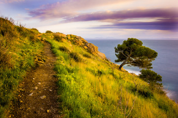 Coastal path near Cap De Cruz, Spain