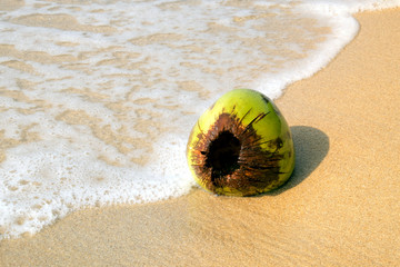 Scene Waves Storm with coconut on tropical beach