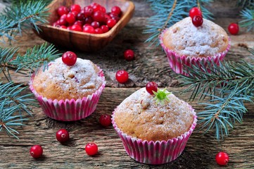 homemade muffins with fresh and dried cranberries