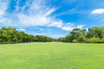 Fototapeta na wymiar Green grass field in big city park