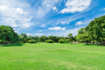 Green grass field in big city park