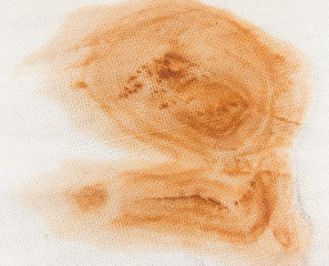 brown stain on a white background