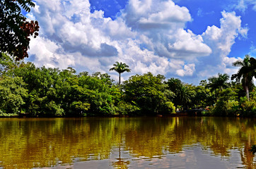 Tropical landscape with trees, lake, blue sky with white clouds and reflection in water