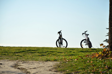 Bicycles on lawn