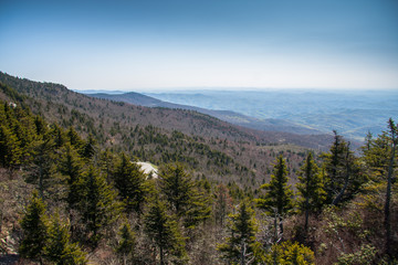 Grandfather Mountain