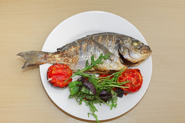 Grilled dorado fish with tomatoes, arugula and basil on white pl