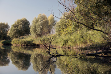 хозяин © А. Матвеенко