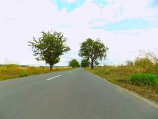 Fototapeta premium Asphalt road