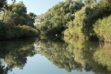 хозяин © А. Матвеенко