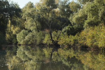 хозяин © А. Матвеенко