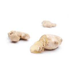 Fototapeta na wymiar Ginger root spice isolated ingredient against white background s
