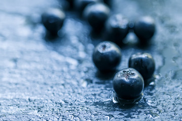 Chokeberry, bilberry on a wet stone background, selective focus