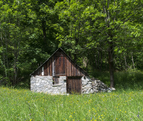 Little cottage in the Alps