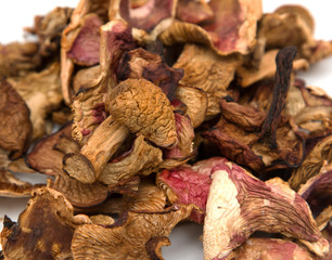 Dried mushrooms on white background