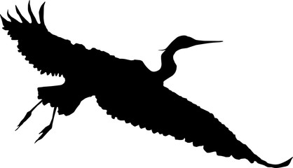 Flugsilhouette eines Reihers