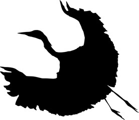 Flugsilhouette eines Reihers