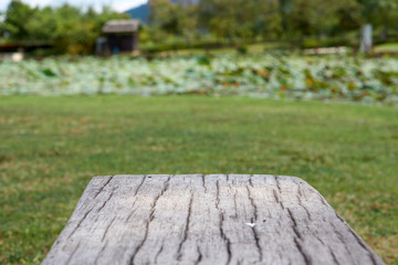 Cement bench in wood like surface with blur garden background