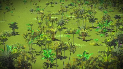 Lush vegetation in jungle