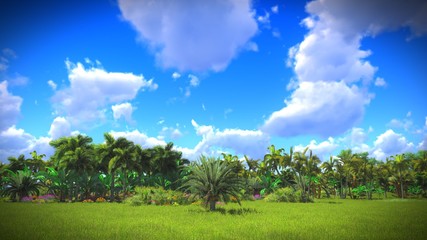 Fototapeta premium Lush vegetation in jungle