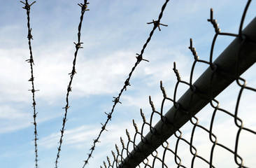 barbed wire fence