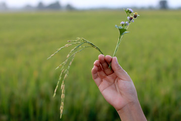 Flowers in hand