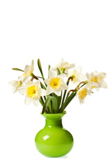 White Spring Daffodil Flower Bunch Isolated on White Background