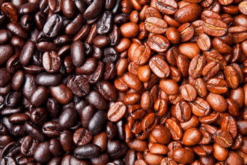 coffee bean background