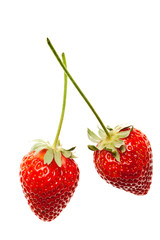 ripe red strawberries with stems and leaves isolated on white ba