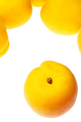 apricot isolated