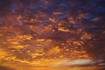 Fototapeta na wymiar Orange sunset sky