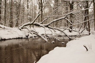 Rzeka zimą. © boguslavus
