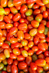 Solanum lycopersicum tomatoes